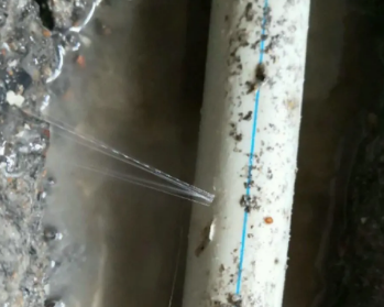 清水卫生间测漏水多少钱